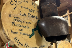 ribelle-053